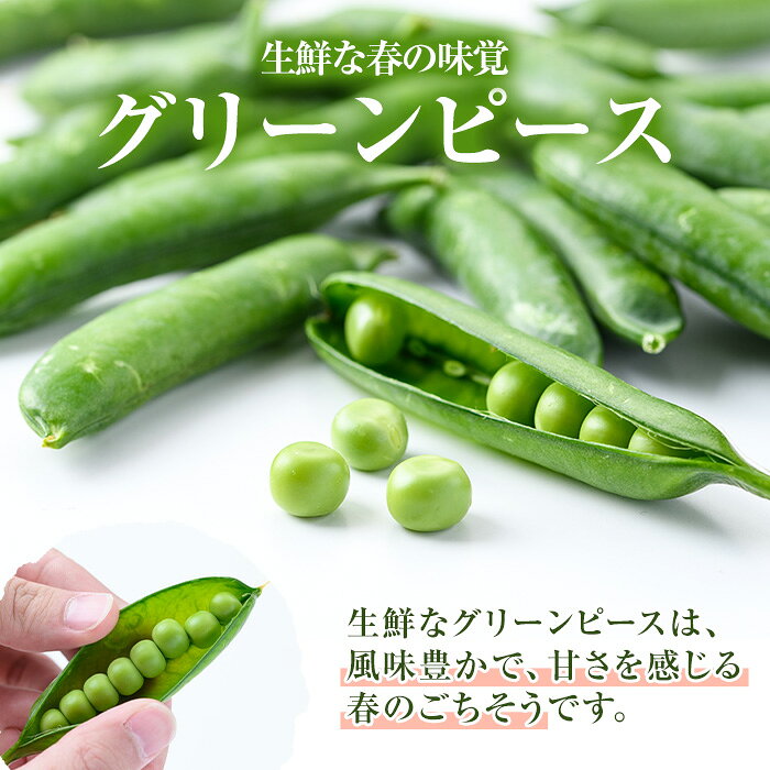 鹿児島県阿久根市の画像2