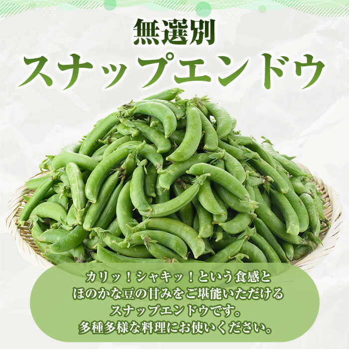 【ふるさと納税】＜先行予約受付中！2026年1月以降順次発送予定＞訳あり！鹿児島県産 スナップエンドウ(約2kg) 国産 野菜 スナップエンドウ スナップえんどう おつまみ サラダ 炒め物 訳アリ サイズ混合【松永青果】akn053-072