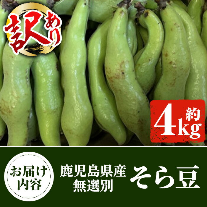 【ふるさと納税】＜訳あり＞鹿児島県産 そら豆(約4kg) 国産 野菜 そら豆 ソラマメ おつまみ サラダ 炒め物 訳アリ サイズ混合 ソラ豆 鞘つき さやつき【松永青果】a-12-287