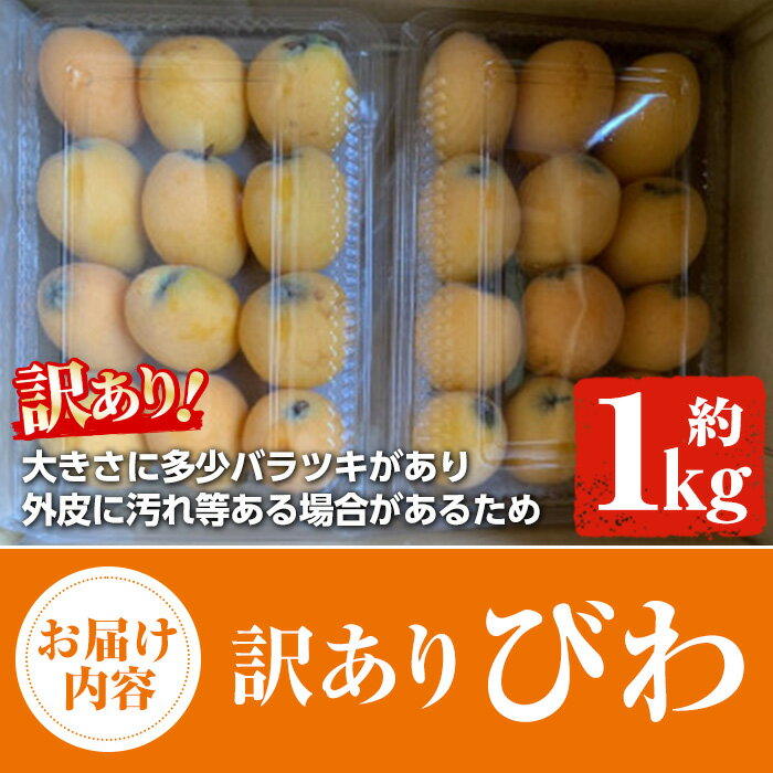 【ふるさと納税】＜訳あり・数量限定＞びわ(約1kg) 阿久根市 フルーツ 果物 デザート 甘味 酸味 果肉 果汁【松永青果】a-12-296