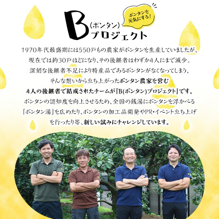 【ふるさと納税】ボンタンサイダー(24本) 一つ一つ手作業で皮を剥き、果汁をしぼり仕上げました！ぼんたん ボンタン 文旦 サイダー ジュース 飲み物 飲料 果汁 フルーツ 果物 炭酸【ボンタンプロジェクト】a-31-1