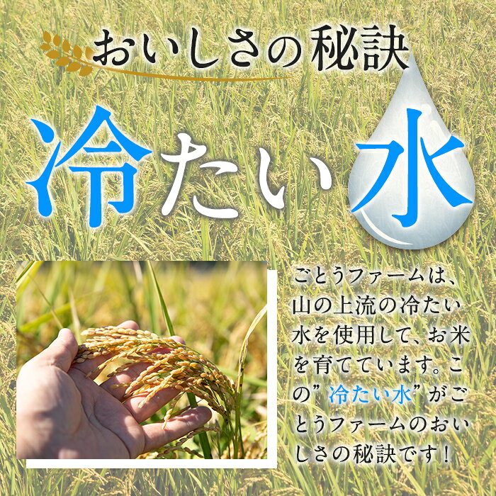 【ふるさと納税】＜新米 令和8年産 ＞ 数量限定！あきほなみ (計6kg・3kg×2袋) しんまい R8年 米 お米 白米 あきほなみ アキホナミ おにぎり お弁当 ごはん ご飯【ごとうファーム】akn092-03 f462063-akune-10001513 鹿児島県阿久根市 サンプル画像3