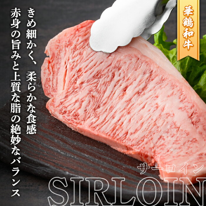 サンプル画像3
