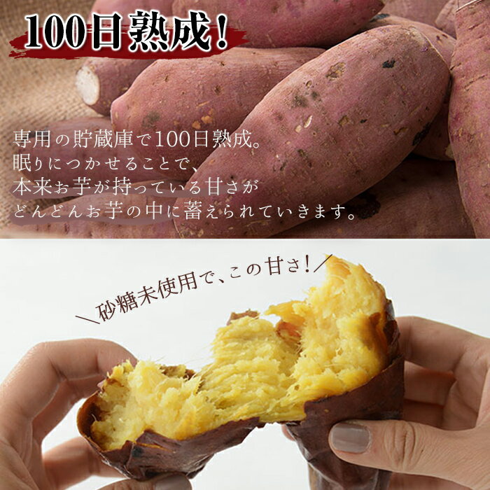 【ふるさと納税】100日熟成！鹿児島県産の紅はるか使用の焼き芋(500g×1袋)と紅はるか蒸しスティック(500g×1袋)　計1kg【海連】1-12