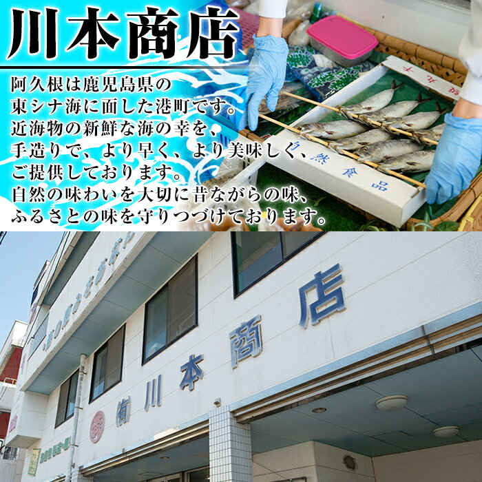 【ふるさと納税】鹿児島県阿久根市産干物！かます開き(計15枚・3枚×5袋)国産 魚介 加工品 ひもの おかず おすまみ【川本商店】a-13-25