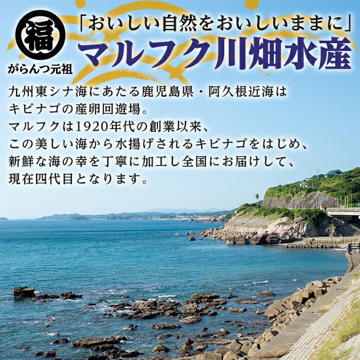 【ふるさと納税】＜定期便・全2回(隔月)＞阿久根市産 干物(6種)国産 鹿児島県産 ひもの 開き 一夜干し がらんつ 乾物 魚 キビナゴ あじ いか イカ うるめ あおさ 【マルフク川畑水産】a-24-36