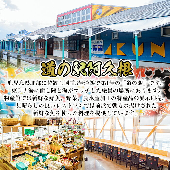 【ふるさと納税】鹿児島県産！道の駅「阿久根」オリジナルいか漁師漬け(計800g・100g×8袋)国産 いか 漁師漬け 惣菜 魚貝 魚介 水産加工品【まちの灯台阿久根】a-12-163