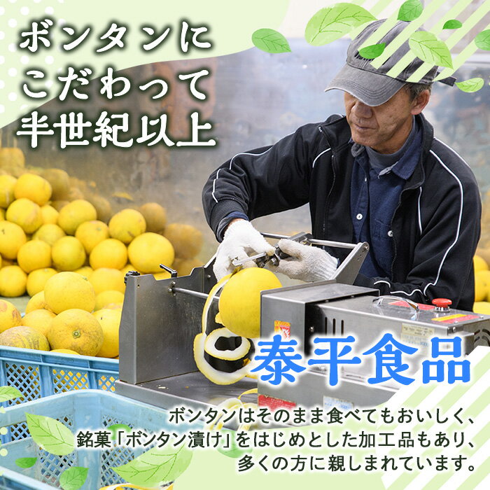鹿児島県阿久根市の画像3