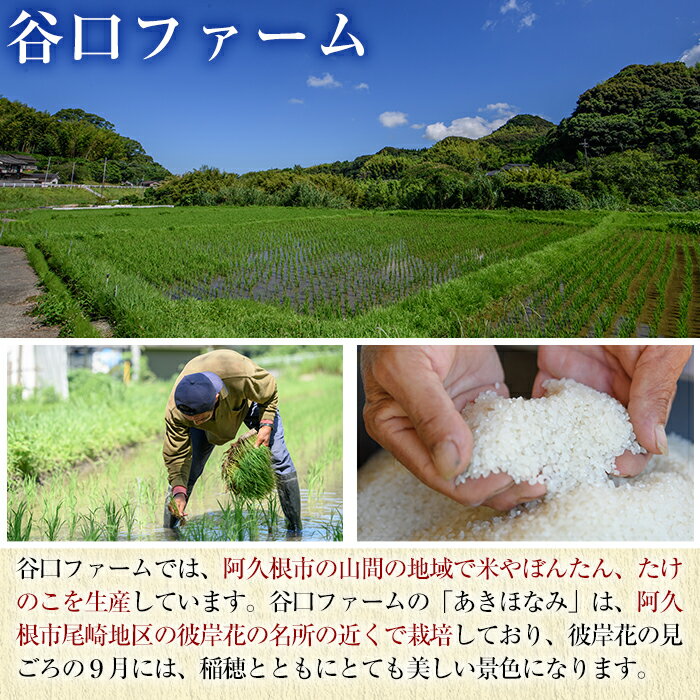 【ふるさと納税】＜定期便・全6回＞鹿児島県産のお米！あきほなみ(1回のお届け5kg・計30kg)国産 白米 ご飯 お米【谷口ファーム】a-41-5