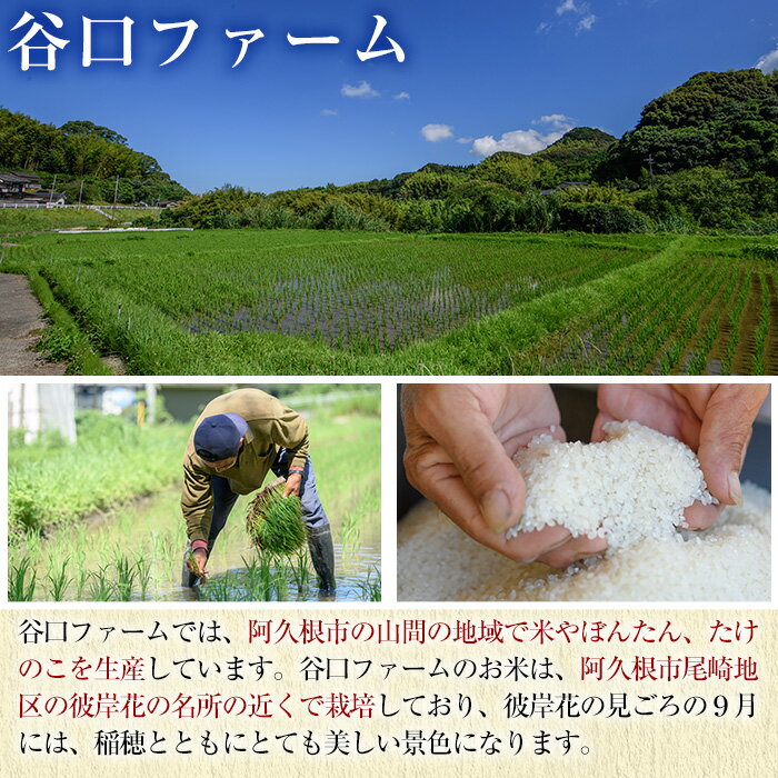 【ふるさと納税】＜定期便・全3回＞鹿児島県産のお米！あきほなみ(1回のお届け5kg・計15kg)国産 ご飯 白米【谷口ファーム】a-21-7