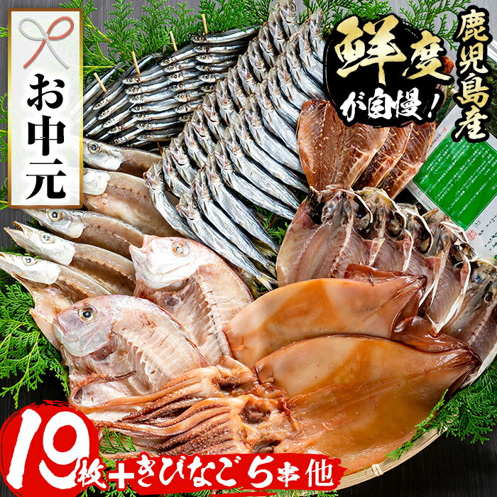 【ふるさと納税】＜お中元ギフト＞鹿児島県産！干物詰め合わせ＜8種＞鯛、アジ、かます、いかなど干物19枚にきびなご串(5串)やウルメ丸干し(24尾)、あおさのりをセットで！阿久根海の幸詰め合わせ【又間水産】 5-2