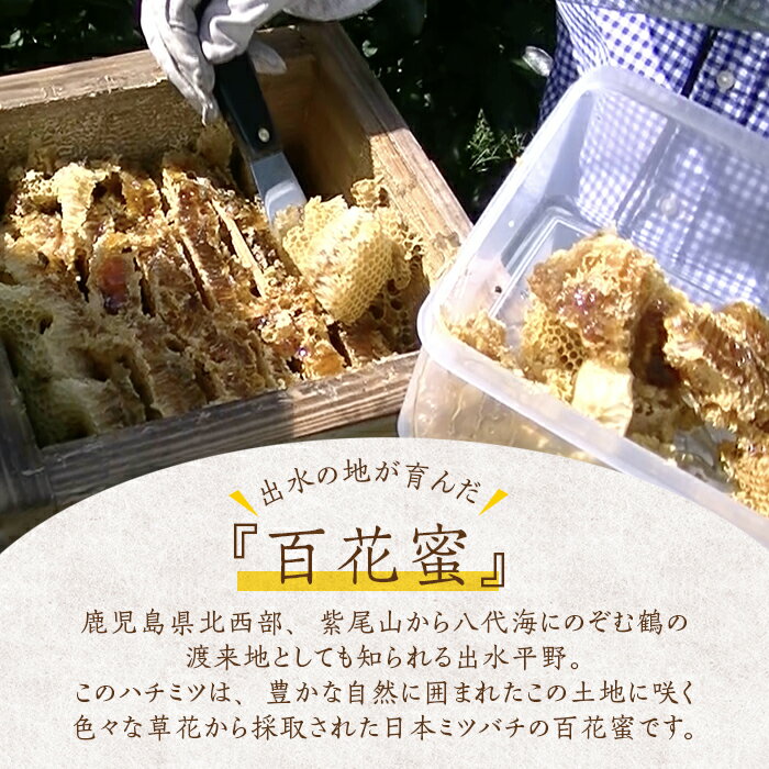 【ふるさと納税】《2025年10月上旬～2026年1月下旬の間に発送予定》＜数量・期間限定＞手作りミツロウラップ付き！日本ミツバチ・百花たれ蜜(400g) はちみつ 蜂蜜 ハチミツ ミツロウラップ ラップ 日本ミツバチ 希少 スイーツ 【株式会社フェロー】