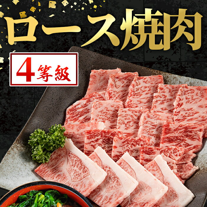 【ふるさと納税】鹿児島県産 黒毛和牛 ロース焼肉用(計400g) 国産 九州産 鹿児島産 黒毛和牛 牛肉 国産牛 ロース 焼肉 焼き肉 BBQ ロース肉 冷凍配送 【スターゼン】 f462080-izumi-10001163 鹿児島県出水市 サンプル画像3