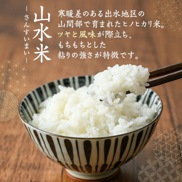 【ふるさと納税】＜回数が選べる！＞鹿児島県出水市産ヒノヒカリ 山水米 (5kg or 10kg or 5kg×計6回(毎月・隔月)) 米 お米 精米 5kg ブランド米 ごはん ご飯 ひのひかり 白米 おにぎり お弁当 定期便 選べる納期【JA鹿児島いずみ(米)】