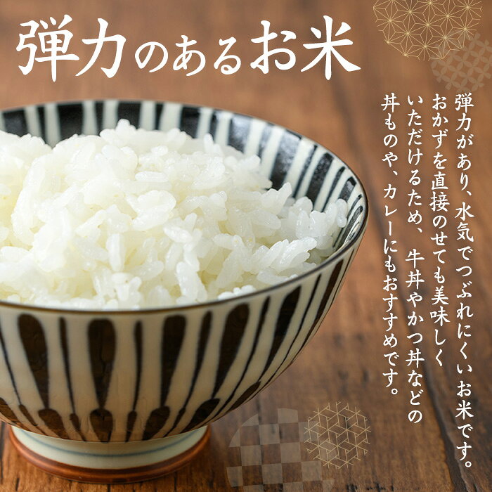 サンプル画像3