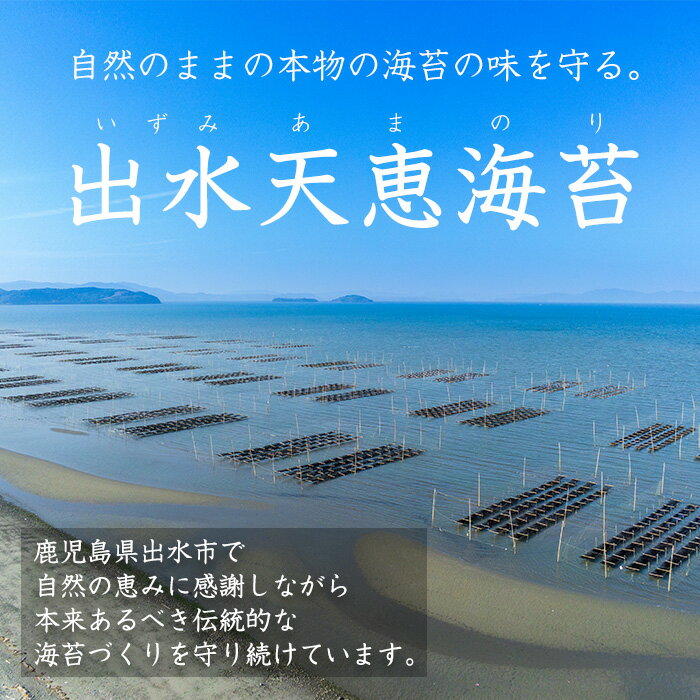 【ふるさと納税】出水天恵海苔お試し食べ比べセットB(全4種・計140枚) 海苔 のり 詰め合わせ 食べくらべ 国産 おにぎり おにぎらず お昼ご飯 お弁当 ご飯のお供 【出水天恵海苔】