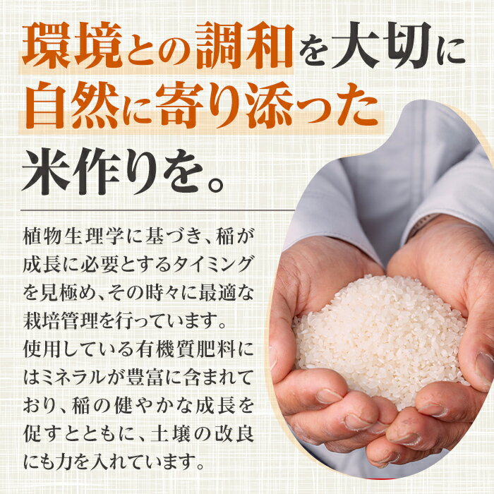 【ふるさと納税】《選べる容量！数量限定》令和7年産 鹿児島県 出水市産 なつほのか (5kg・計10kg・計20kg) 米 5kg 10kg 20kg なつほのか ごはん 鹿児島 5キロ お米 九州 九州産 甘み 大粒 【いずみキッチン】