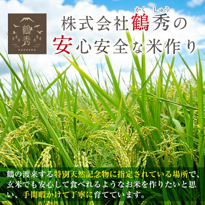 【ふるさと納税】≪先行予約受付中！2022年9月中旬～10月中旬の間に発送予定≫＜数量限定・新米＞ 鶴秀米ミルキークイーン 玄米(10kg×3袋・30kg)国産！鹿児島県産のどんなおかずとも相性の良いお米！おにぎりもおいしい！【鶴秀】