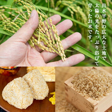 【ふるさと納税】≪先行予約受付中!2020年11月1日〜12月20日の間に発送≫<数量限定・新米> 鶴秀米ヒノヒカリ 玄米(10kg×3袋・30kg)国産!鹿児島県産のどんなおかずとも相性の良いお米!【鶴秀】