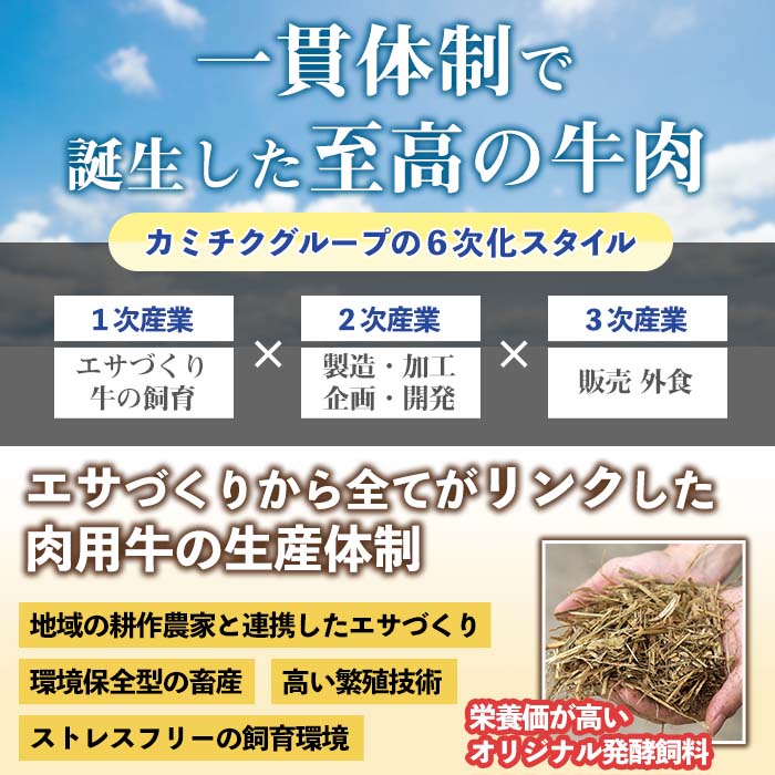 【ふるさと納税】鹿児島県産黒毛和牛ユッケ(計320g)＋国産上村牛タタキ(計約400g)各8人前セット！牛肉 黒毛和牛 上村牛 ユッケ タタキ 国産 生食 旨み セット 8人前 冷凍 【カミチク】