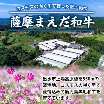 【ふるさと納税】出水市産薩摩まえだ和牛・鹿児島県産黒豚ローススライスセット計1kg(牛ロース500g+豚ロース500g)牛肉と豚肉の食べ比べ!しゃぶしゃぶやすき焼きで【まえだファーム】