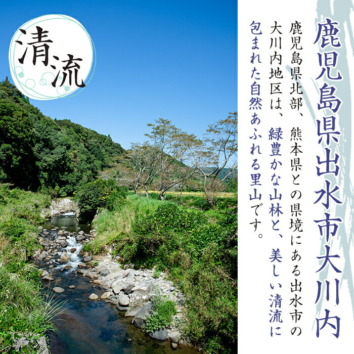 【ふるさと納税】鹿児島県出水市産の大川内麦味噌(1kg×6袋・計6kg) 味噌 みそ 味噌汁 国産 田舎味噌 麦みそ 家庭の味 冷蔵 【大川内地区コミュニティ協議会】