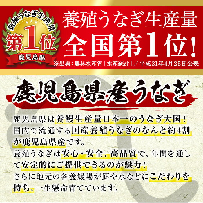 【ふるさと納税】回数が選べる！鹿児島県産うなぎ蒲焼(1回3尾 or 3回定期便 or 6回定期便) うなぎ 鰻 ウナギ 約140g 蒲焼き 国産 鹿児島県産 焼きたて 生産量日本一 真空パック おかず 晩御飯 特別な日 土用の丑の日 【薩摩川内鰻】