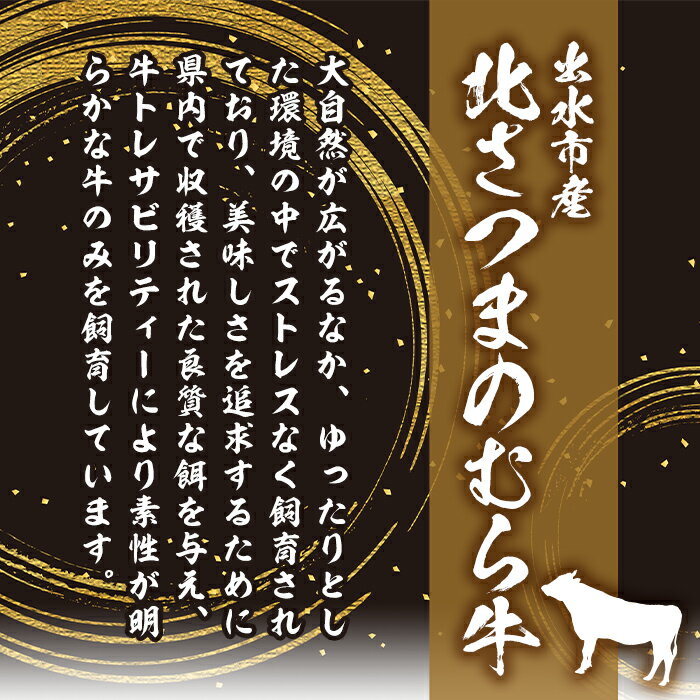 【ふるさと納税】≪鹿児島県産黒毛和牛≫出水市産北さつまのむら牛 黒毛和牛サーロインステーキ(計600g・200g×3枚) 牛肉 肉 黒毛和牛 国産 サーロイン ステーキ 旨み 絶品 冷凍 【吉澤商店】