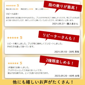 【ふるさと納税】産地直送 かつおとブリのたたき炭火焼 海の幸大満足セット♪(合計1.1kg～1.3kg) 海鮮 魚介類 カツオ 鰹 鰤 鰹のたたき かつおのたたき カツオのたたき 鰤たたき ぶりたたき タタキ 藁焼き 魚 刺身 お造り 国産 冷凍 丼 お茶漬け 送料無料【指宿食品】