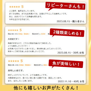 【ふるさと納税】＜発送時期が選べる＞指宿直送便！マグロ漬け丼と天然真鯛茶漬けセット(合計10P・天然真鯛の茶漬け50g×5P、マグロ漬け丼100g×5P) 鮪 マグロ キハダマグロ 真鯛 マダイ 漬け 漬け丼 茶漬け 魚 海鮮 海鮮丼 魚介類 小分け 国産 冷凍【指宿山川水産合同会社】