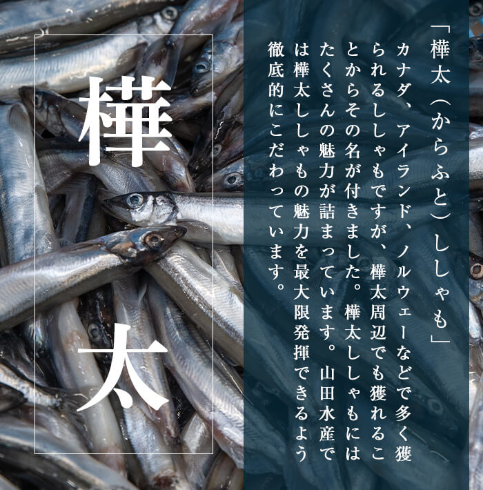 【ふるさと納税】＜すぐ届く！＞山田のシシャモパワー 計1.2kg(120g×10P) 子持ちからふとししゃも 子持ち ししゃも シシャモ シシャモパワー 魚介 メス 卵 冷凍 小分け 鹿児島県 垂水市【山田水産】A1-1802