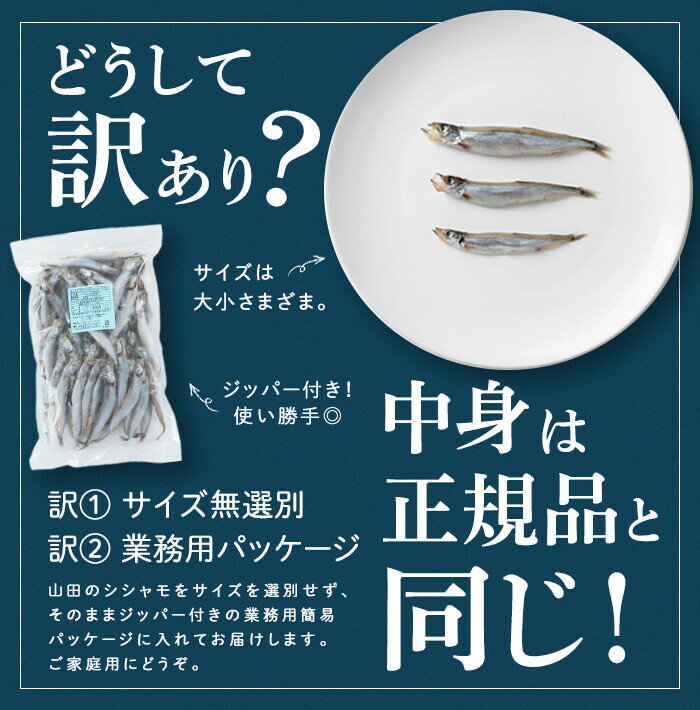 【ふるさと納税】＜すぐ届く！＞【訳あり】山田の子持ちからふとししゃも 計1kg(1袋) 子持ちからふとししゃも 子持ち ししゃも シシャモ 無選別 訳あり 簡易包装 ジッパー付 チャック付 魚介 メス 卵 冷凍 小分け 鹿児島県 垂水市【山田水産】W-1804