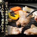 【ふるさと納税】鹿児島県産 「黒豚」焼肉・BBQ用カルビ(計1.6kg・200g×8P)黒豚 豚肉 豚 肉 カルビ バラ 豚バラ 焼肉 焼き肉 BBQ 小分け 真空パック 国産 鹿児島産 冷凍【森商店】B2-3080 3