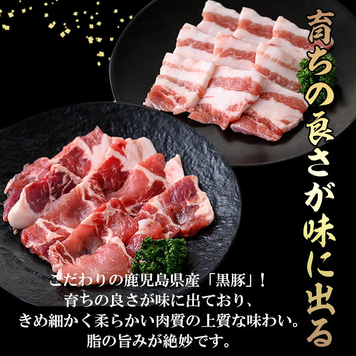 【ふるさと納税】鹿児島県産 「黒豚」ミックス 焼肉・BBQ用＜肩ロース・カルビ＞(...