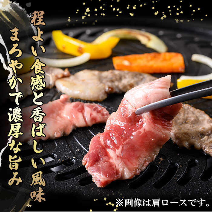 【ふるさと納税】鹿児島県産 「黒豚」ミックス 焼肉・BBQ用＜肩ロース・カルビ＞(...