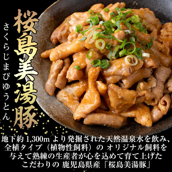 鹿児島県垂水市の画像2