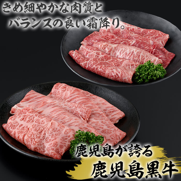 鹿児島県垂水市の画像3