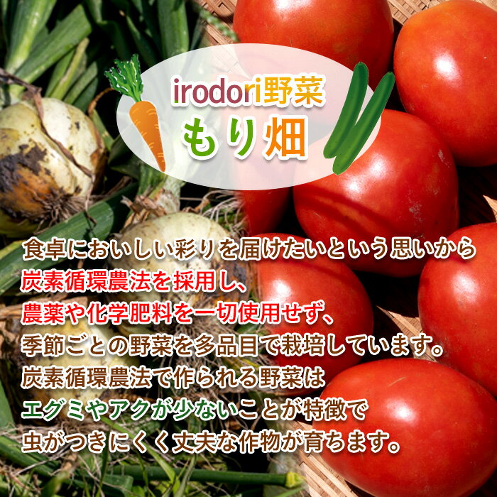 【ふるさと納税】irodori野菜 もり畑の野菜詰合せ（小）野菜 やさい セット 詰め合わせ おまかせ 国産 鹿児島産 垂水市【スガイ企画】A1-3810