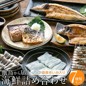 【ふるさと納税】甑島の海鮮詰め合わせ（いか） きびなご あじ さば かます 赤いか さつまあげ 海上天日干し 鹿児島 東シナ海 甑島 上甑島 キビナゴ アジ サバ カマス イカ 赤イカ 薩摩赤いか 馬場水産加工場