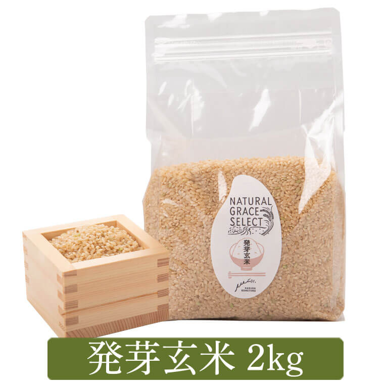 【ふるさと納税】発芽玄米 2kg 1kg × 2袋 発芽米 米 お米 国産 鹿児島 GABA（ギャバ）美容 健康 万能食品 五つ星 お米マイスター 厳選 薩摩川内市 送料無料