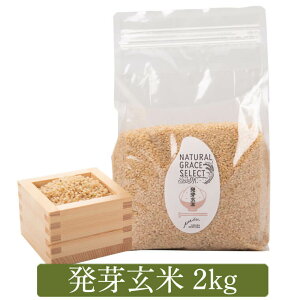 【ふるさと納税】発芽玄米 2kg 1kg × 2袋 発芽米 米 お米 国産 鹿児島 GABA（ギャバ）美容 健康 万能食品 五つ星 お米マイスター 厳選 薩摩川内市 送料無料