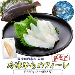 【ふるさと納税】ひらめ 冷凍 フィーレ 350g ヒラメ 切り身 刺身 刺し身 さしみ フィレ 食べきり 九州 鹿児島 甑海峡 薩摩川内市 送料無料