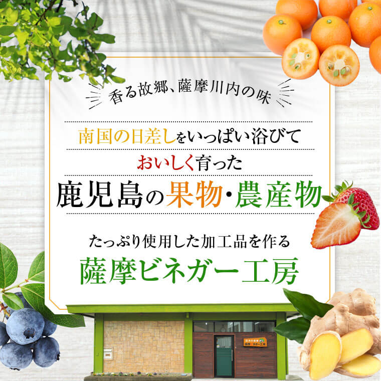 【ふるさと納税】薩摩川内 生姜シロップ 黒糖仕込み 300ml×2本 あけび酢使用 生姜 しょうが ジンジャーシロップ 飲料 ビネガードリンク 酢 ドリンク お酢 黒糖 鹿児島県 薩摩川内市 送料無料