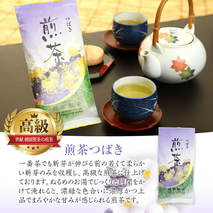 鹿児島県日置市の【ふるさと納税】煎茶セット(雅)国産 鹿児島 日置市 茶 緑茶【世献 榎園製茶】｜アングル3
