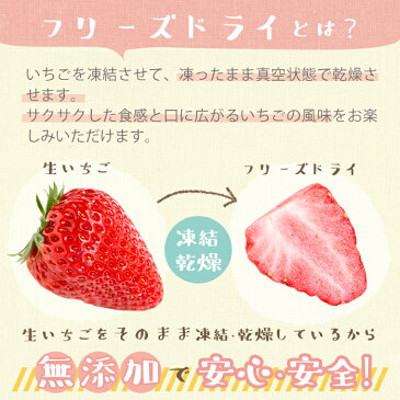 【ふるさと納税】鹿児島県産!無添加いちごのフリーズドライセット!(フリーズドライ半割り1袋・ピューレ2袋・パウダー1袋)大切に育てた苺をフリーズドライフルーツに♪【ままりあ農園】