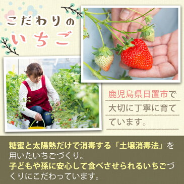 【ふるさと納税】鹿児島県産!無添加いちごのフリーズドライセット!(フリーズドライ半割り1袋・ピューレ2袋・パウダー1袋)大切に育てた苺をフリーズドライフルーツに♪【ままりあ農園】