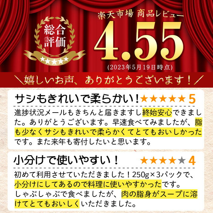 【ふるさと納税】鹿児島県産黒毛和牛すきやき・しゃぶしゃぶ用(計750g・250g×3P)国産 九州産 牛肉 黒毛和牛 和牛 ブリスケ お肉 おかず すき焼き スキヤキ しゃぶしゃぶ スライス 肩バラ肉 コウネ 冷凍 小分け【アリラン飯店】