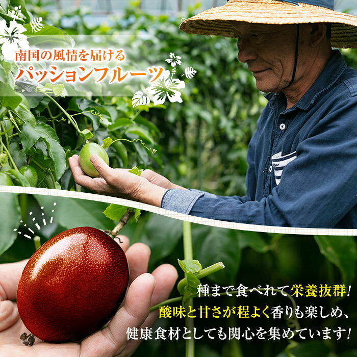 【ふるさと納税】＜数量限定＞パッションフルーツ(約1kg・10～12個入) 鹿児島 日置市 産地直送 スイーツ デザート 果実 果物 くだもの フルーツ 贈り物 贈答品 栄養満点 酸味 甘味 美容 健康【はまうえ果樹園】