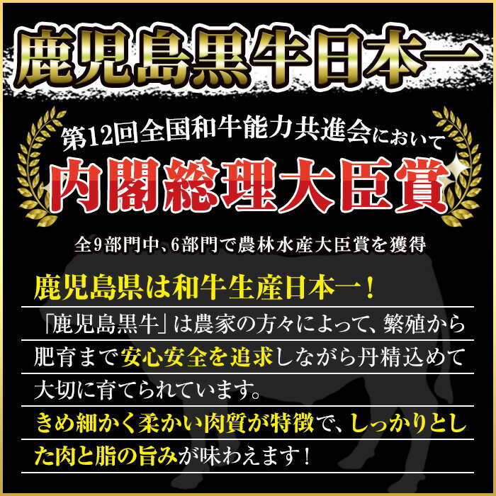 【ふるさと納税】＜肉質等級5等級＞(H-101)鹿児島黒牛すきやきセット(リブローススライス・カタローススライス：各300g・合計600g)国産 九州産 牛肉 黒牛 黒毛和牛 和牛 スライス サーロイン リブロース 肩ロース カタ すき焼き しゃぶしゃぶ 冷凍【さつま日置農協】