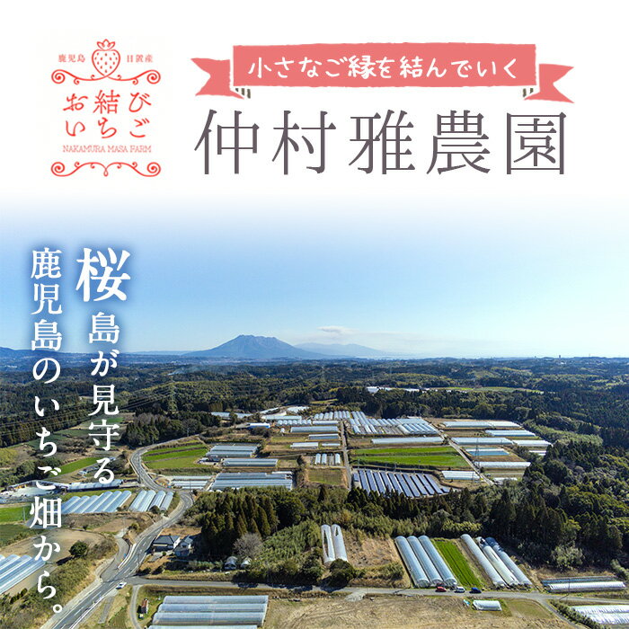 【ふるさと納税】 ＜発送時期が選べる＞鹿児島県産さがほのか(270g×4個・計1.08kg)※時期によりさつまおとめ又はぴかいちごに変更になる可能性があります。国産 九州産 イチゴ 苺 いちご フルーツ【仲村雅農園】